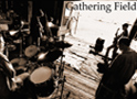 Gathering Field