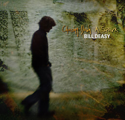 Chasing Down a Spark CD cover